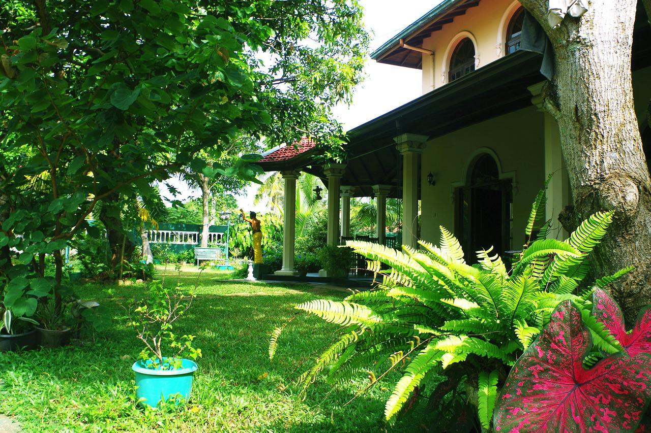 Villa Eco Green Negombo Bagian luar foto